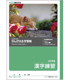 Cuadernillo Kyokuto para práctica de escritura de los Kanji - 120 kanjis por página