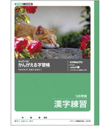 Cuadernillo Kyokuto para práctica de escritura de los Kanji - 120 kanjis por página