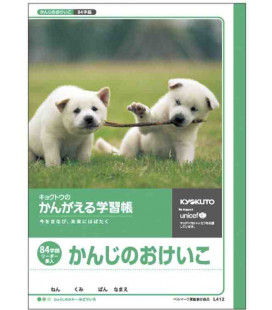 Cuadernillo Kyokuto para práctica de escritura de los Kanji - 84 kanjis por página