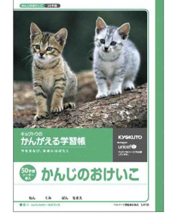 Cuadernillo Kyokuto para práctica de escritura de los Kanji - 50 kanjis por página