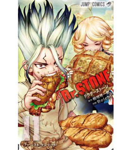 Dr. Stone (Vol. 11)