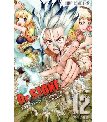 Dr. Stone (Vol. 12)
