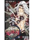 Kimetsu no Yaiba Vol. 22 - (Guardianes de la Noche)