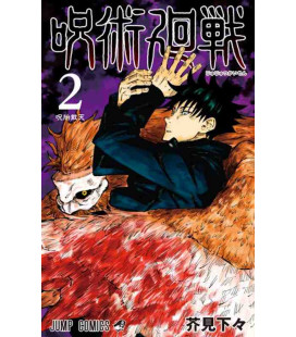 Jujutsu Kaisen Vol. 2 (Sorcery Fight)