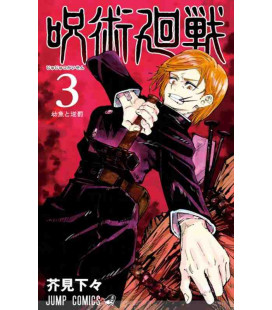 Jujutsu Kaisen Vol. 3 (Sorcery Fight)