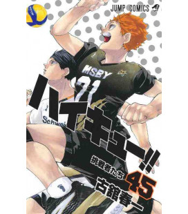 Haikyu!! Vol.45