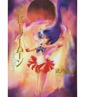 Sailor Moon Vol. 3 Kanzenban Edition 