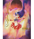 Sailor Moon Vol. 3 Kanzenban Edition 