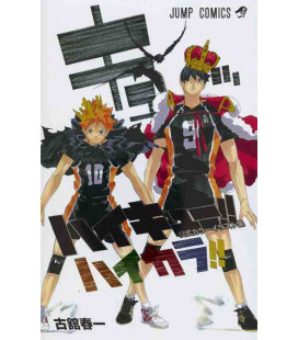 Haikyu!! Color Illustrations 