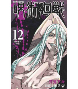Jujutsu Kaisen Vol. 12 (Sorcery Fight)