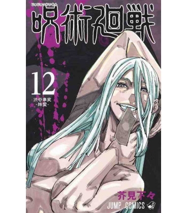 Jujutsu Kaisen Vol. 12 (Sorcery Fight)