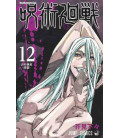 Jujutsu Kaisen Vol. 12 (Sorcery Fight)