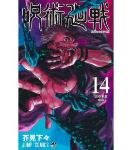 Jujutsu Kaisen Vol. 14 (Sorcery Fight)