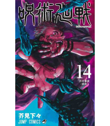 Jujutsu Kaisen Vol. 14 (Sorcery Fight)