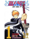 Bleach Vol.1