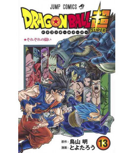 Dragon Ball Super Vol. 13