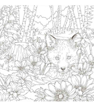 Symphony of Cute Animals - Libro para colorear