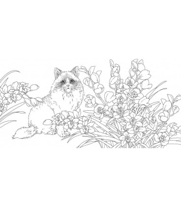 Watashi no nurie Book dobutsutachi kara no okurimono - Libro para colorear