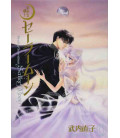 Sailor Moon Vol. 9 Kanzenban Edition 