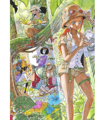One Piece Color Walk 9 - Tiger