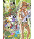 One Piece Color Walk 9 - Tiger