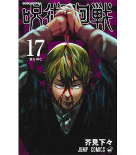 Jujutsu Kaisen Vol. 17 (Sorcery Fight)