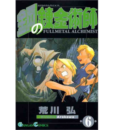Full Metal Alchemist Vol. 6