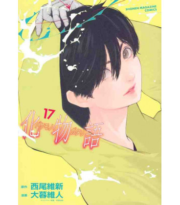 Bakemonogatari Vol.17