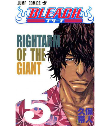 Bleach Vol.5