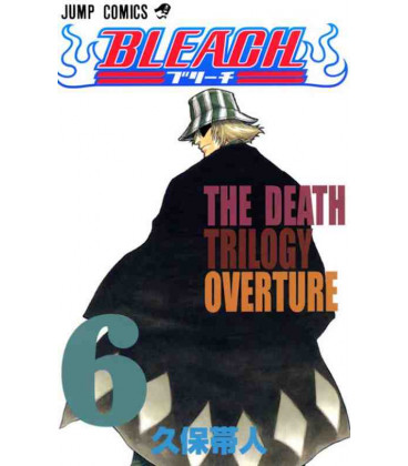 Bleach Vol.6