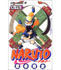 Naruto (Vol. 17)