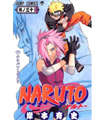 Naruto (Vol. 30)