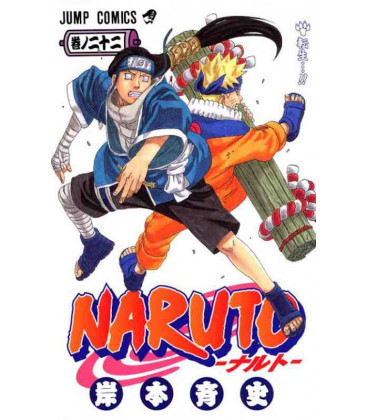 Naruto (Vol. 22)