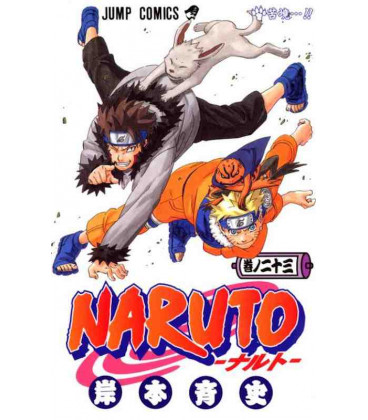 Naruto (Vol. 23)