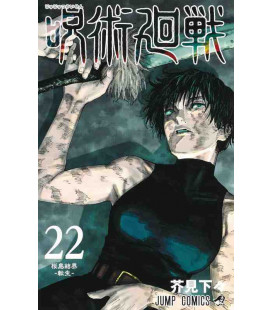 Jujutsu Kaisen Vol. 22 (Sorcery Fight)