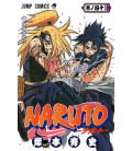 Naruto (Vol. 40)