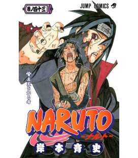 Naruto (Vol. 43)