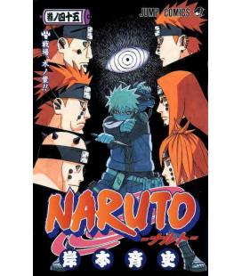 Naruto (Vol. 45)