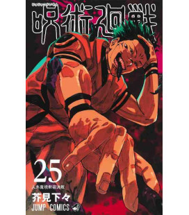 Jujutsu Kaisen Vol. 25 (Sorcery Fight)