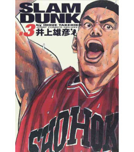 Slam Dunk Vol.3 - Kanzenban Edition