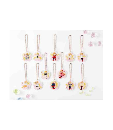 Card Captor Sakura Vol. 14 - Clear Card Edition - Special Edition (Clamp)
