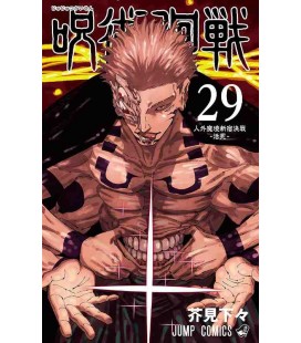 Jujutsu Kaisen Vol. 29 (Sorcery Fight)