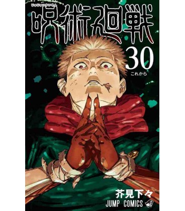 Jujutsu Kaisen Vol. 30 (Sorcery Fight)
