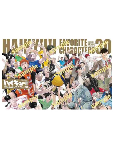 Sportiva Volleyball Special Vol. 3 - Includes Haikyu!! Scrylic Stand & Visual book 