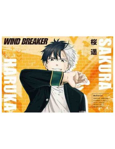 WIND BREAKER - TV Anime - Postcard Book Season 1