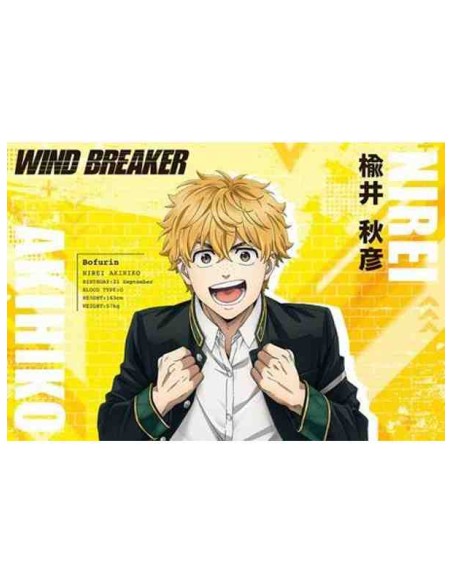 WIND BREAKER - TV Anime - Postcard Book Season 1
