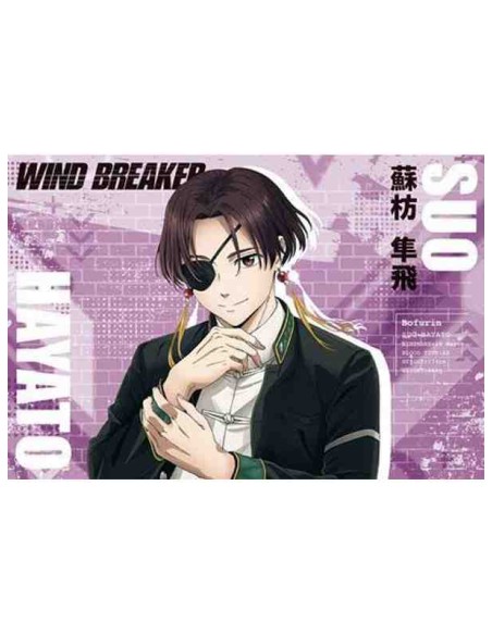 WIND BREAKER - TV Anime - Postcard Book Season 1