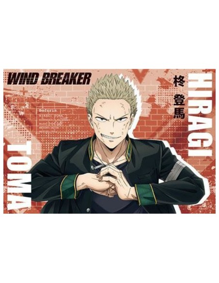 WIND BREAKER - TV Anime - Postcard Book Season 1
