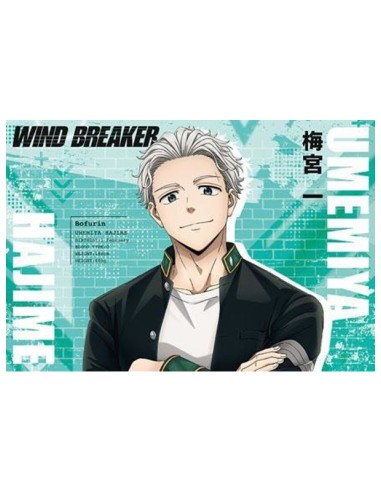 WIND BREAKER - TV Anime - Postcard Book Season 1