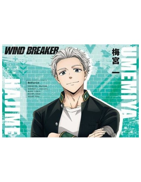 WIND BREAKER - TV Anime - Postcard Book Season 1